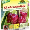 KirschmadenFalle (7 Stück) | Fallen Und Fernhaltemittel Von Neudorff