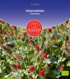 Inkarnatklee Gründünger | BIO Gründünger Von De Bolster