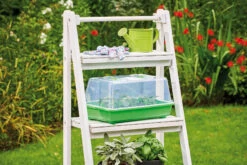 Gewächshaus M | Zimmergewächshaus Von Romberg -Premium-Saatgut-Düngemittel-Shop 535231 Gewaechshaus M 10094102 1