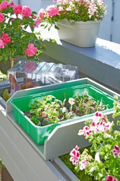 Anzuchthaus M PLUS | Mini-Gewächshaus Von Romberg