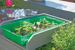 Anzuchthaus M PLUS | Mini-Gewächshaus Von Romberg -Premium-Saatgut-Düngemittel-Shop 535236 Anzuchthaus M PLUS 10094202 2