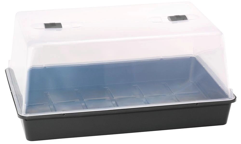 Gewächshaus XXL (59 X 39 X 27 Cm) | Zimmergewächshaus Von Romberg 1 Gewächshaus XXL (59 X 39 X 27 Cm) | Zimmergewächshaus Von Romberg