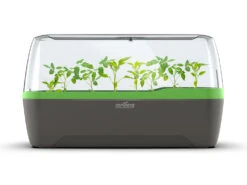 BoQube Gewächshaus &amp; Pflanzkasten L Anthrazit-grün | Zimmergewächshäuser Von Romberg