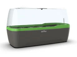 BoQube Gewächshaus &amp; Pflanzkasten L Anthrazit-grün | Zimmergewächshäuser Von Romberg -Premium-Saatgut-Düngemittel-Shop 539702 BoQube Gewaechshaus Farbe anthrazit gru 4