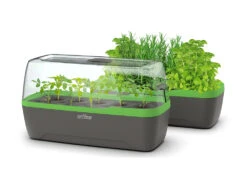 BoQube Gewächshaus &amp; Pflanzkasten L Anthrazit-grün | Zimmergewächshäuser Von Romberg -Premium-Saatgut-Düngemittel-Shop 539702 BoQube Gewaechshaus Farbe anthrazit gru 5