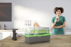 BoQube Gewächshaus &amp; Pflanzkasten L Anthrazit-grün | Zimmergewächshäuser Von Romberg -Premium-Saatgut-Düngemittel-Shop 539702 BoQube Gewaechshaus Farbe anthrazit gru 6