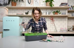 BoQube Gewächshaus &amp; Pflanzkasten L Anthrazit-grün | Zimmergewächshäuser Von Romberg -Premium-Saatgut-Düngemittel-Shop 539702 BoQube Gewaechshaus Farbe anthrazit gru 8