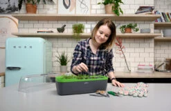 BoQube Gewächshaus &amp; Pflanzkasten L Anthrazit-grün | Zimmergewächshäuser Von Romberg -Premium-Saatgut-Düngemittel-Shop 539702 BoQube Gewaechshaus Farbe anthrazit gru 9