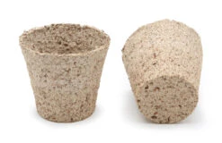 6 Cm Anzuchttopf Kokos Rund (2592 Stück) | Anzuchttöpfe Von Jiffy -Premium-Saatgut-Düngemittel-Shop 542628 6 cm Anzuchttopf aus Kokos rund 2592 Stueck 30812200 jf 0