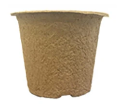 7 X 10,5 Cm Anzuchttopf NT Rund (800 Stück) | Anzuchttöpfe Von Fertil 5 7 X 10,5 Cm Anzuchttopf NT Rund (800 Stück) | Anzuchttöpfe Von Fertil -Premium-Saatgut-Düngemittel-Shop 548139 7 x 10 5 cm Anzuchttoepfe rund 800 Stueck 591 C1 1