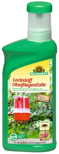 Lockstoff ObstfliegenFalle (500 Ml) | Fallen Und Fernhaltemittel Von Neudorff