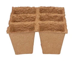 6 X 6 Cm Anzuchttopf Strips (32 Stück) | Anzuchttöpfe Von Sogo -Premium-Saatgut-Düngemittel-Shop 548516 6 x 6 cm Organic Toepfe strips 32 Stueck 887312 sg 2