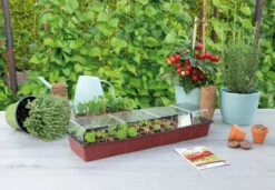 Fensterbank Gewächshaus | Zimmergewächshaus Von Sogo -Premium-Saatgut-Düngemittel-Shop 548522 Fensterbank Gewaechshaus 887340 sg 2