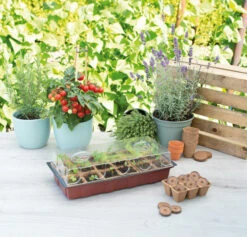 Gewächshaus (18 Töpfe) | Zimmergewächshaus Von Sogo -Premium-Saatgut-Düngemittel-Shop 548523 Gewaechshaus mit 18 Toepfe 887342 sg 2