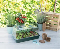 Gewächshaus Mit Belüftung | Zimmergewächshaus Von Sogo -Premium-Saatgut-Düngemittel-Shop 548525 Gewaechshaus mit Belueftung 887346 sg 3