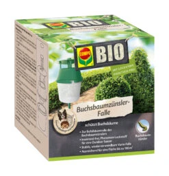 Buchsbaumzünsler Falle (1 Stück) | BIO Fallen Und Fernhaltemittel Von COMPO