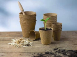 8 Cm Anzuchttopf Rund Auf Holzfaser Basis | Anzuchttöpfe Von FLORTUS 9 8 Cm Anzuchttopf Rund Auf Holzfaser Basis | Anzuchttöpfe Von FLORTUS -Premium-Saatgut-Düngemittel-Shop 552303 8 cm Anzuchttopf rund auf Holzfaser Basis 30 Stueck 2000 0595 5