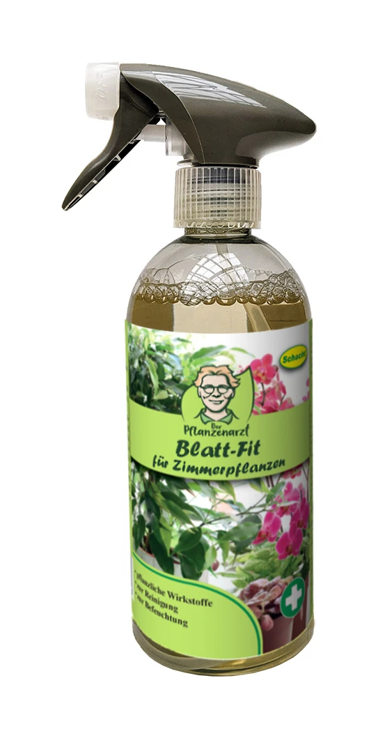 Blatt-Fit (500 Ml) | Hilfs- Und Stärkungsmittel Von Schacht 1 Blatt-Fit (500 Ml) | Hilfs- Und Stärkungsmittel Von Schacht