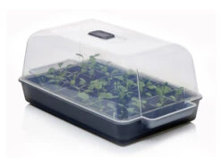 Anzucht-Gewächshaus Easy Water | Zimmergewächshaus Von Clever Pots 16 Anzucht-Gewächshaus Easy Water | Zimmergewächshaus Von Clever Pots -Premium-Saatgut-Düngemittel-Shop 553911 Gewaechshaus Easy Water 050 0017 0