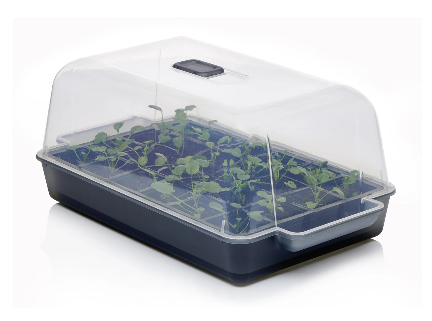 Anzucht-Gewächshaus Easy Water | Zimmergewächshaus Von Clever Pots 7 Anzucht-Gewächshaus Easy Water | Zimmergewächshaus Von Clever Pots – Bild 7