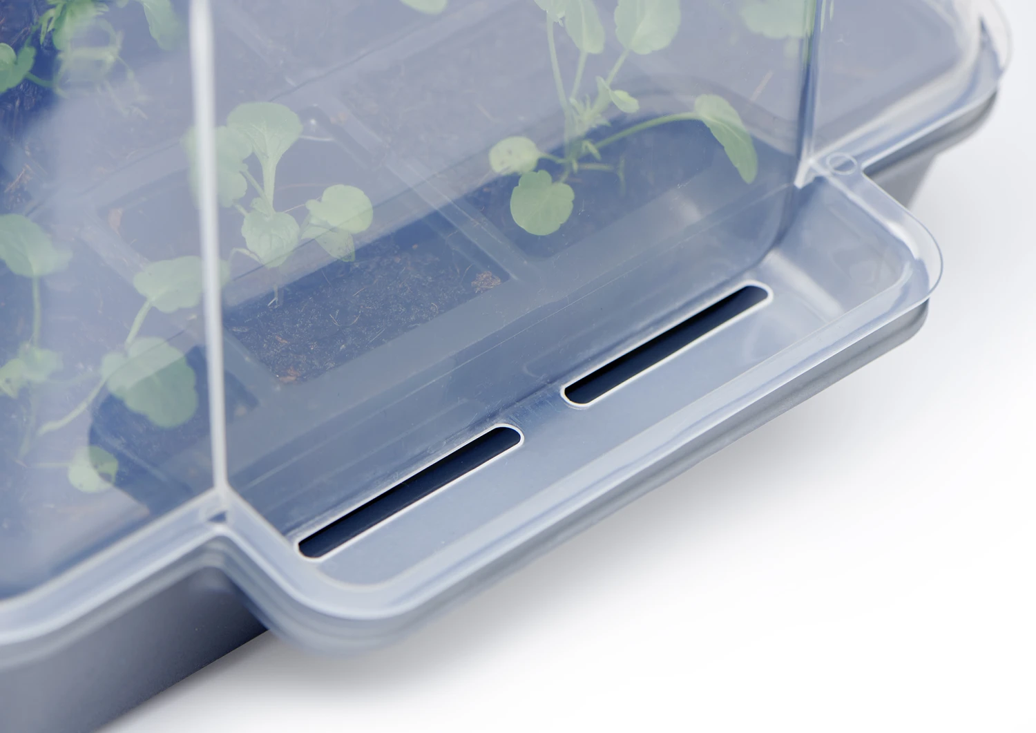 Anzucht-Gewächshaus Easy Water | Zimmergewächshaus Von Clever Pots 1 Anzucht-Gewächshaus Easy Water | Zimmergewächshaus Von Clever Pots