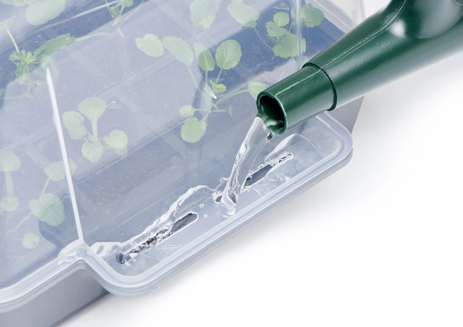 Anzucht-Gewächshaus Easy Water | Zimmergewächshaus Von Clever Pots 2 Anzucht-Gewächshaus Easy Water | Zimmergewächshaus Von Clever Pots – Bild 2