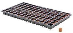 Eazy Plug Anzuchtwürfel CT104, Rund, 3,5 X 2 Cm, Tray Mit 104 St. | Anzuchttray -Premium-Saatgut-Düngemittel-Shop 557342 Eazy Plug Anzuchtwuerfel CT104 rund 3 5 x 2 cm Tray mit 104 St 534573 Eazy Plug Stecklingstrays 104 St rund klein 2