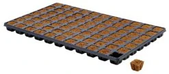 Eazy Plug Anzuchtwürfel CT77, 3,5 X 3,5 Cm, Tray Mit 77 Stk. | Anzuchttray -Premium-Saatgut-Düngemittel-Shop 557344 Eazy Plug Anzuchtwuerfel CT77 3 5 x 3 5 cm Tray mit 77 Stk 533627 Eazy Plug Anzuchtwuerfel 3 5x3 5 cm Tray mit 77 St