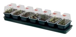76 X 18,5 X 15 Cm Selbstbewässerungs-Anzuchtset Super 7 | Zimmergewächshaus Von Garland 5 76 X 18,5 X 15 Cm Selbstbewässerungs-Anzuchtset Super 7 | Zimmergewächshaus Von Garland -Premium-Saatgut-Düngemittel-Shop 558779 76 x 18 5 x 15 cm Selbstbewaesserungs Anzuchtset Super 7 G136 gl 0