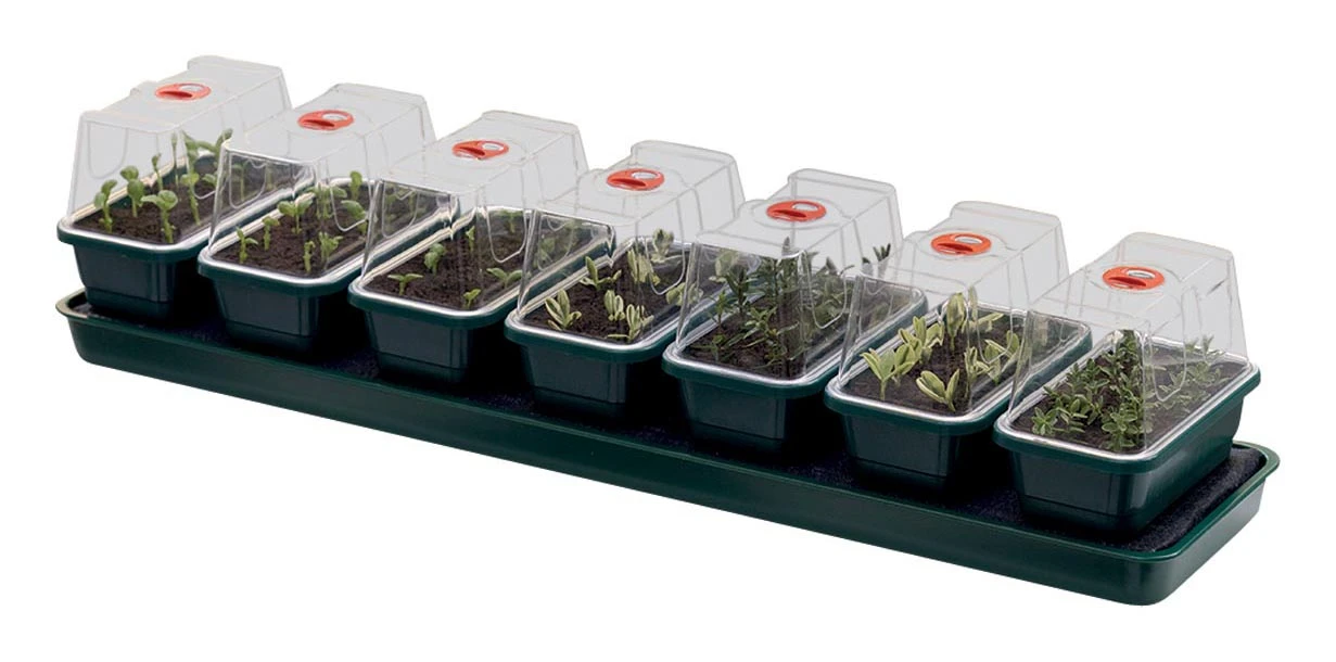 76 X 18,5 X 15 Cm Selbstbewässerungs-Anzuchtset Super 7 | Zimmergewächshaus Von Garland 3 76 X 18,5 X 15 Cm Selbstbewässerungs-Anzuchtset Super 7 | Zimmergewächshaus Von Garland – Bild 3