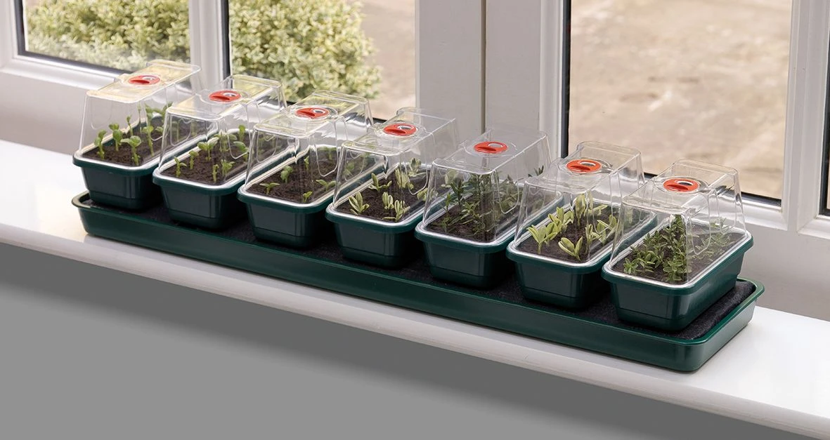 76 X 18,5 X 15 Cm Selbstbewässerungs-Anzuchtset Super 7 | Zimmergewächshaus Von Garland 1 76 X 18,5 X 15 Cm Selbstbewässerungs-Anzuchtset Super 7 | Zimmergewächshaus Von Garland