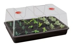 58 X 40,5 X 22,5 Cm Zimmergewächshaus High Dome XL Schwarz Mit Verstellbarer Luftzirkulation | Anzuchtzubehör Von Garland 5 58 X 40,5 X 22,5 Cm Zimmergewächshaus High Dome XL Schwarz Mit Verstellbarer Luftzirkulation | Anzuchtzubehör Von Garland -Premium-Saatgut-Düngemittel-Shop 558793 58 x 40 5 x 22 5 cm Zimmergewaechshaus High Dome XL schwarz mit verstellbarer Luftzirkulation G155B gl 0