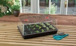 58 X 40,5 X 22,5 Cm Zimmergewächshaus High Dome XL Schwarz Mit Verstellbarer Luftzirkulation | Anzuchtzubehör Von Garland