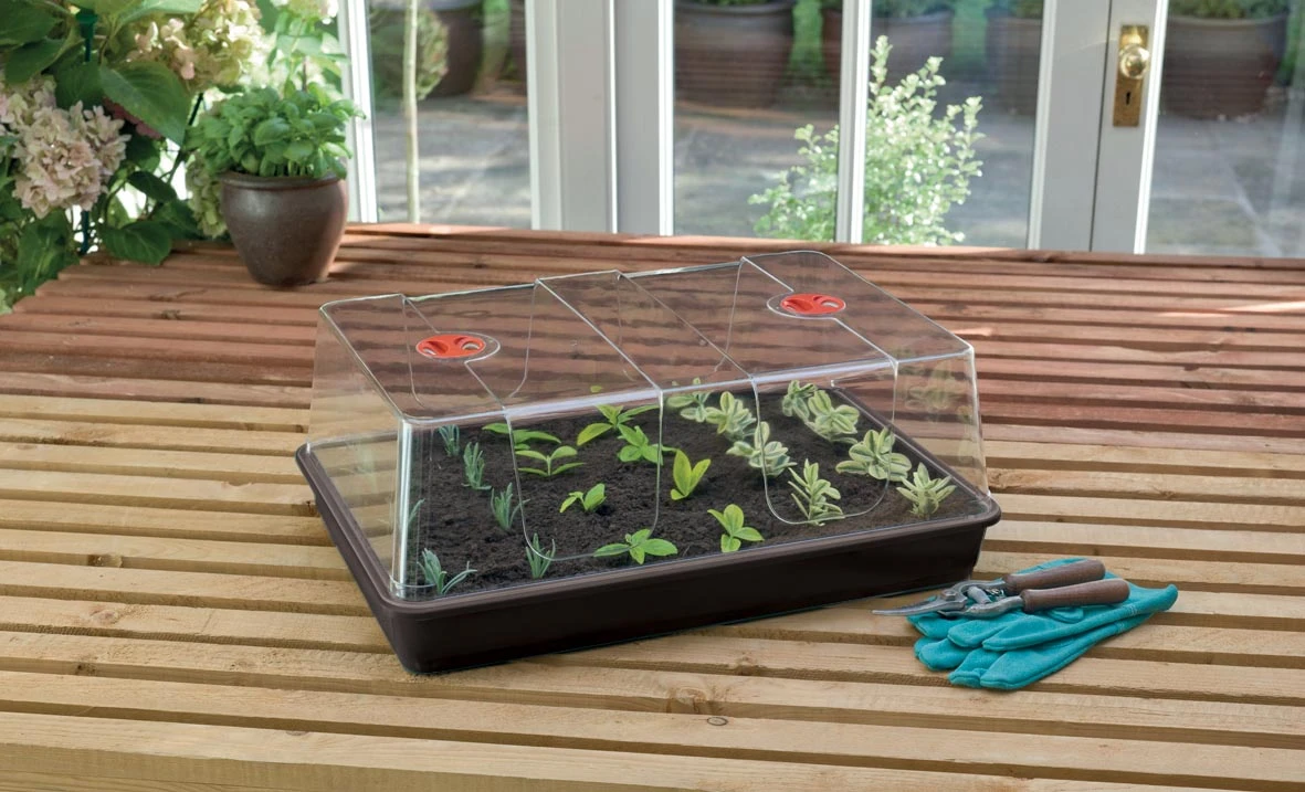 58 X 40,5 X 22,5 Cm Zimmergewächshaus High Dome XL Schwarz Mit Verstellbarer Luftzirkulation | Anzuchtzubehör Von Garland 1 58 X 40,5 X 22,5 Cm Zimmergewächshaus High Dome XL Schwarz Mit Verstellbarer Luftzirkulation | Anzuchtzubehör Von Garland