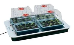 59 X 41 X 20 Cm Elektrisches Zimmergewächshaus 4 Top (4 Stück) | Zimmergewächshaus Von Garland 5 59 X 41 X 20 Cm Elektrisches Zimmergewächshaus 4 Top (4 Stück) | Zimmergewächshaus Von Garland -Premium-Saatgut-Düngemittel-Shop 558796 59 x 41 x 20 cm Elektrisches Zimmergewaechshaus 4 Top 4 Stueck mit EU Stecker G163EU gl 0