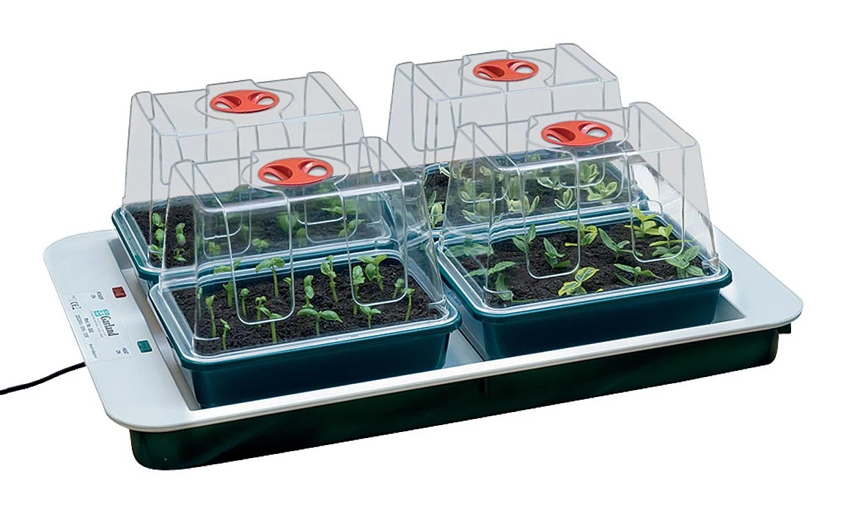 59 X 41 X 20 Cm Elektrisches Zimmergewächshaus 4 Top (4 Stück) | Zimmergewächshaus Von Garland 3 59 X 41 X 20 Cm Elektrisches Zimmergewächshaus 4 Top (4 Stück) | Zimmergewächshaus Von Garland – Bild 3