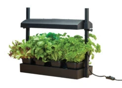 Micro Grow Light Garten | Zimmergewächshaus Von Garland -Premium-Saatgut-Düngemittel-Shop 558806 50 x 20 x 45 cm Micro Grow Light Garten Schwarz G187BEU gl 0