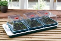 80,5 X 41 X 20 Cm Elektrisches Zimmergewächshaus Big 3 (3 Stück) | Zimmergewächshaus Von Garland -Premium-Saatgut-Düngemittel-Shop 558839 80 5 x 41 x 20 cm Elektrisches Zimmergewaechshaus Big 3 3 Stueck mit EU Stecker G78EU gl 2