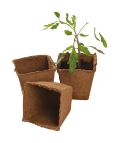 8 Cm Vierkantfasertöpfe | Anzuchttöpfe Von Garland