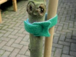 15 Cm Pflanzenbefestigung (10 Stück) | Gartenzubehör Von Garland -Premium-Saatgut-Düngemittel-Shop 558881 15 cm Pflanzenbefestigung 10 Stueck W0894 gl 1