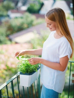 HARRY HERBS Kräutertopf Weiß | Kräutertöpfe Von Gusta Garden -Premium-Saatgut-Düngemittel-Shop 560336 HARRY HERBS weiss 102B10 gg 1