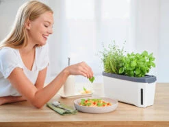 HARRY HERBS Kräutertopf Weiß | Kräutertöpfe Von Gusta Garden -Premium-Saatgut-Düngemittel-Shop 560336 HARRY HERBS weiss 102B10 gg 8