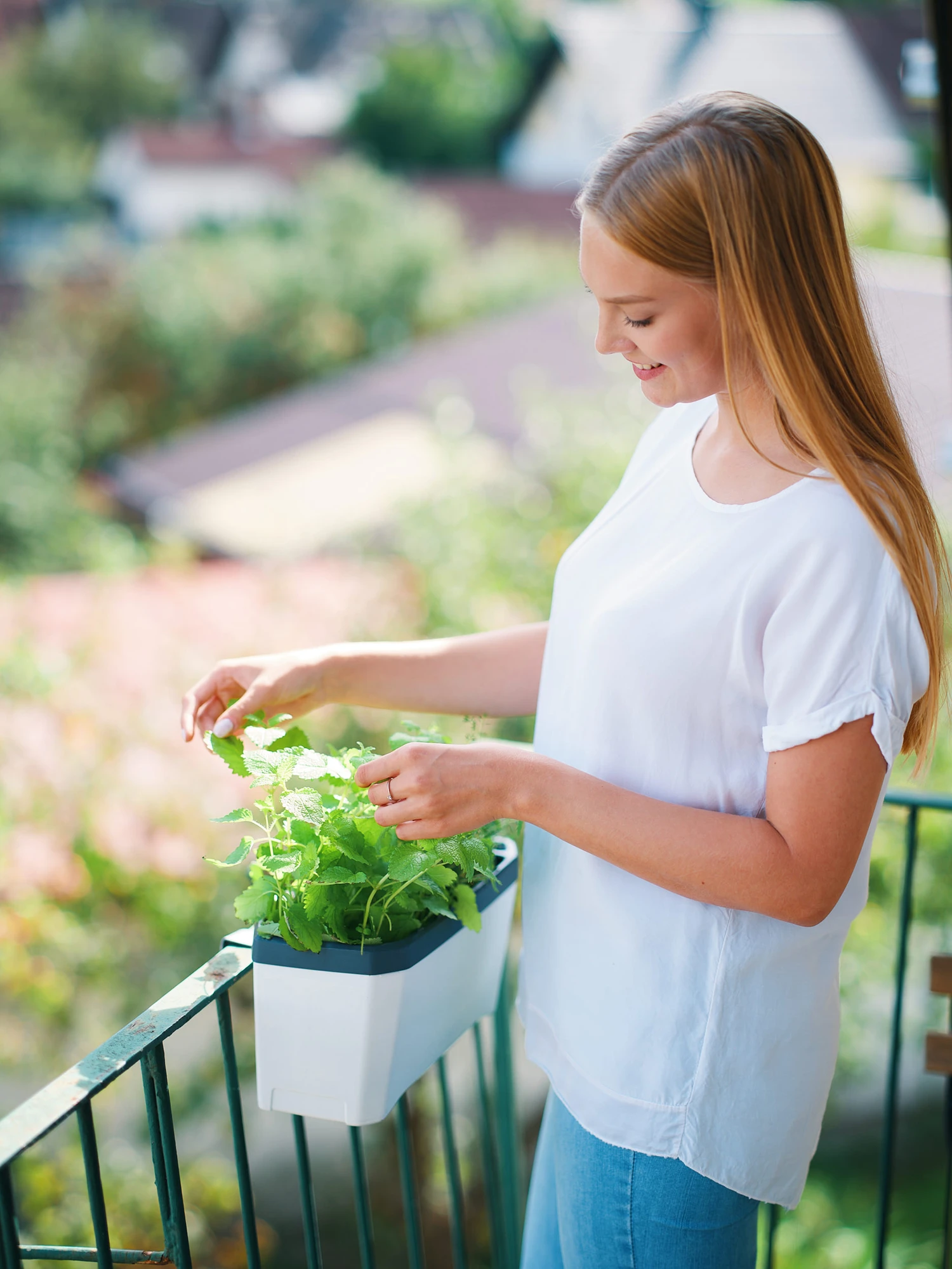 HARRY HERBS Weiß Ohne Haube | Kräutertöpfe Von Gusta Garden