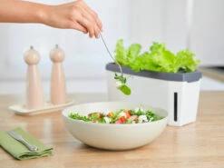 HARRY HERBS Weiß Ohne Haube | Kräutertöpfe Von Gusta Garden -Premium-Saatgut-Düngemittel-Shop 560337 HARRY HERBS weiss ohne Haube 102B20 gg 5