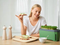 HARRY HERBS Dunkelgrün Ohne Haube | Kräutertöpfe Von Gusta Garden -Premium-Saatgut-Düngemittel-Shop 560339 HARRY HERBS dunkelgruen ohne Haube 103B20 gg 5