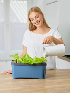 HARRY HERBS Kräutertopf Blau | Kräutertöpfe Von Gusta Garden -Premium-Saatgut-Düngemittel-Shop 560340 HARRY HERBS blau 104B10 gg 2