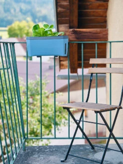 HARRY HERBS Kräutertopf Blau | Kräutertöpfe Von Gusta Garden -Premium-Saatgut-Düngemittel-Shop 560340 HARRY HERBS blau 104B10 gg 7