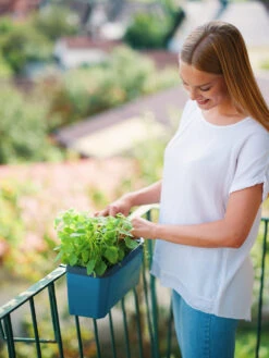 HARRY HERBS Blau Ohne Haube | Kräutertöpfe Von Gusta Garden -Premium-Saatgut-Düngemittel-Shop 560341 HARRY HERBS blau ohne Haube 104B20 gg 4