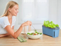 HARRY HERBS Blau Ohne Haube | Kräutertöpfe Von Gusta Garden -Premium-Saatgut-Düngemittel-Shop 560341 HARRY HERBS blau ohne Haube 104B20 gg 7