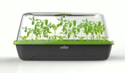 BoQube M &amp; FLORTUS Kokos Quelltöpfe (24 Stück) | Anzuchtzubehör Set Von FLORTUS -Premium-Saatgut-Düngemittel-Shop 562697 BoQube M und FLORTUS Kokos Quelltoepfe 24 Stueck 2000 2385 anthrazit 2